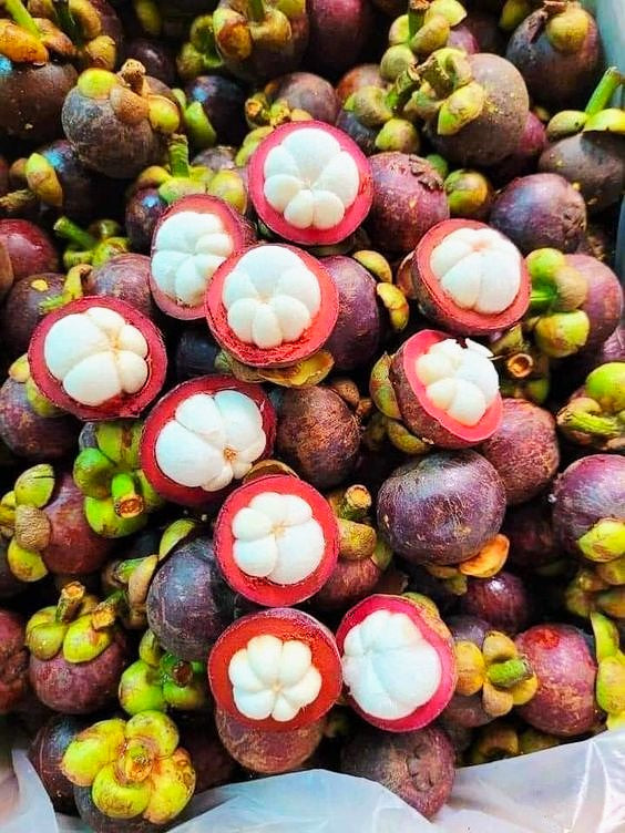 Mangosteen & Geranium Nourishing Daily Moisturiser