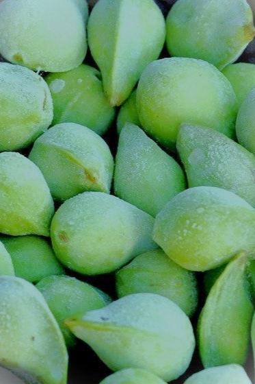 Kakadu Plum & Mango Vitamin C Glow Serum