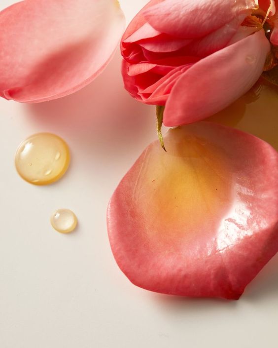 Rose & Calendula Face Oil