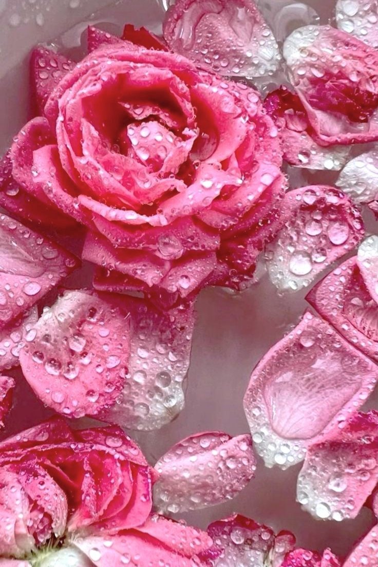 Rose & Jacaranda Serenity Spritz