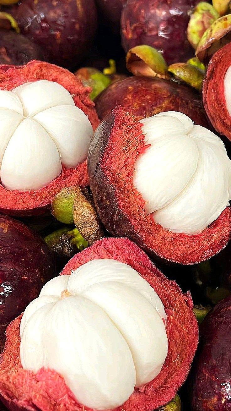 Mangosteen &amp; Geranium Nourishing Daily Moisturiser